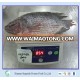 Gutted Scaled Whole Tilapia Best Selling Product