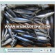 Frozen mackerel prices with top quality