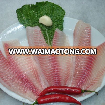 frozen seafood fish red tilapia fillet non co treated